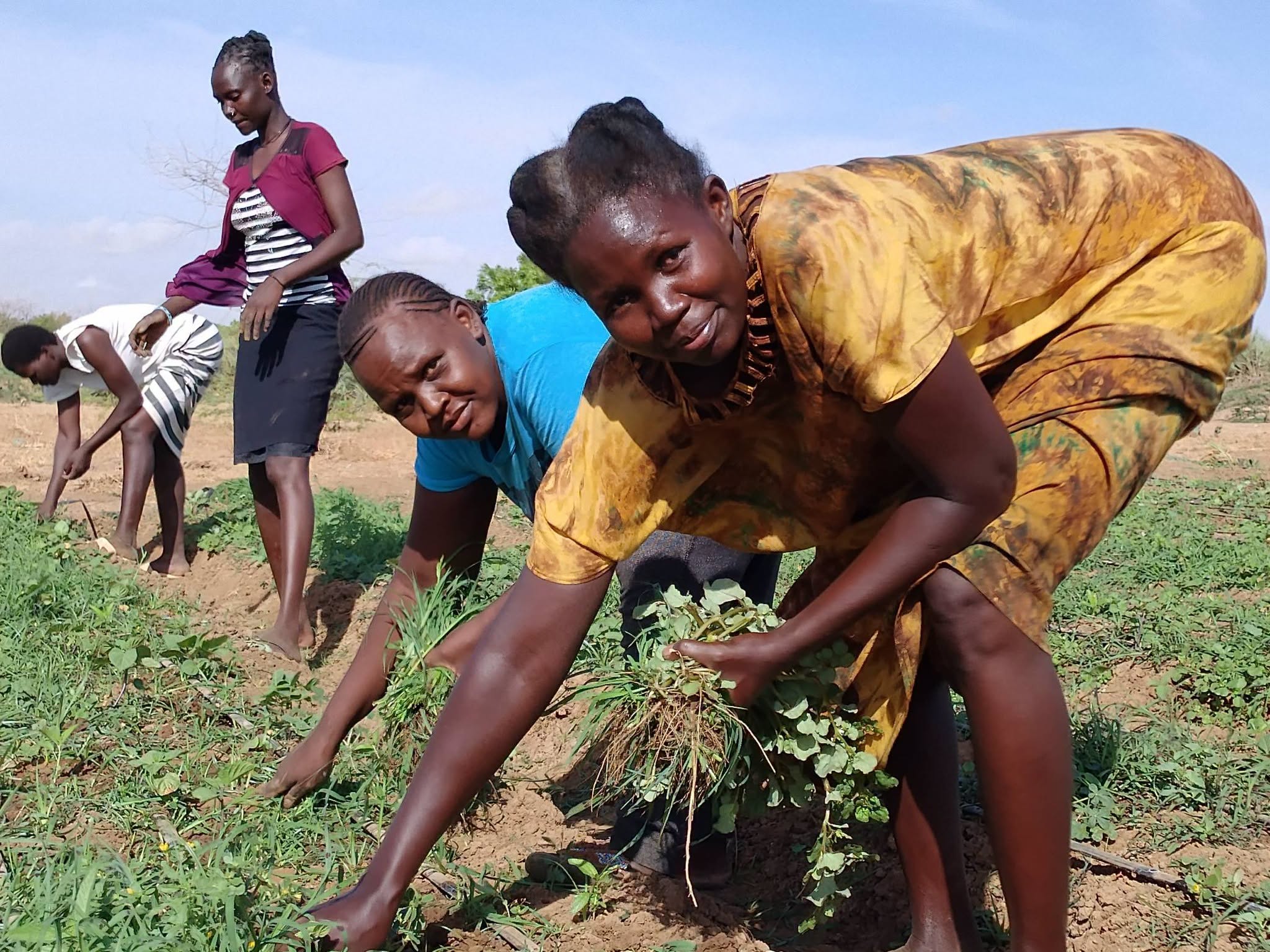 Women cultivate vegetables on an irrigated farm in Namakat, Turkana