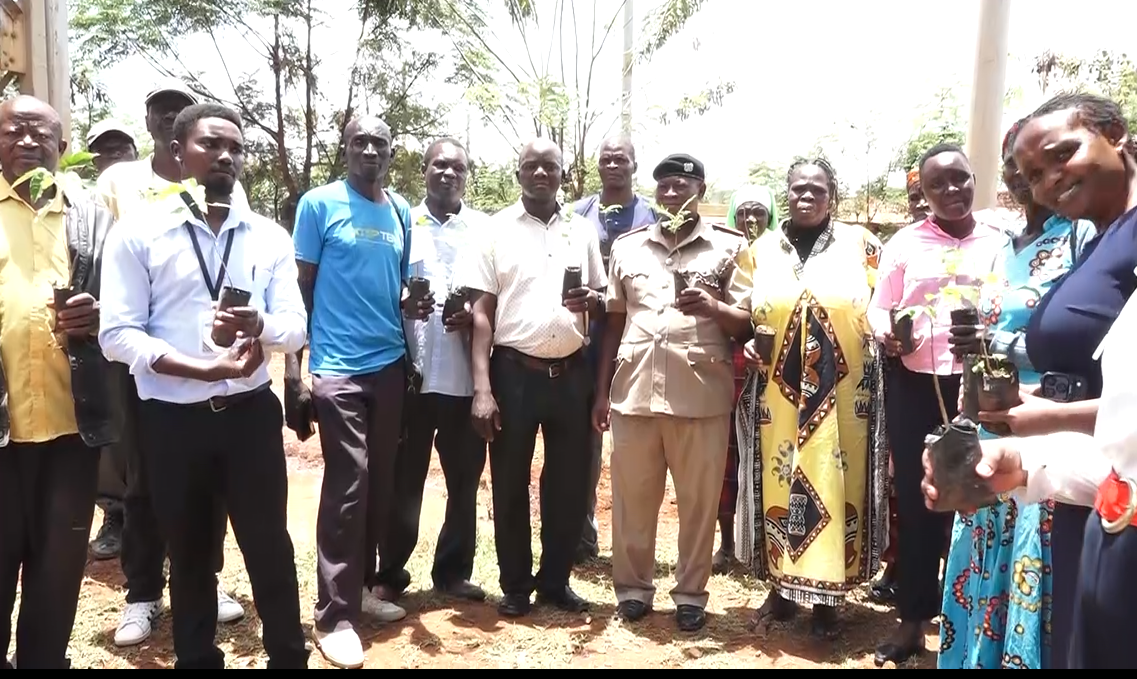 Siaya Artisanal Miners Warned to Suspend Underground Mining Ahead of El Niño Rains