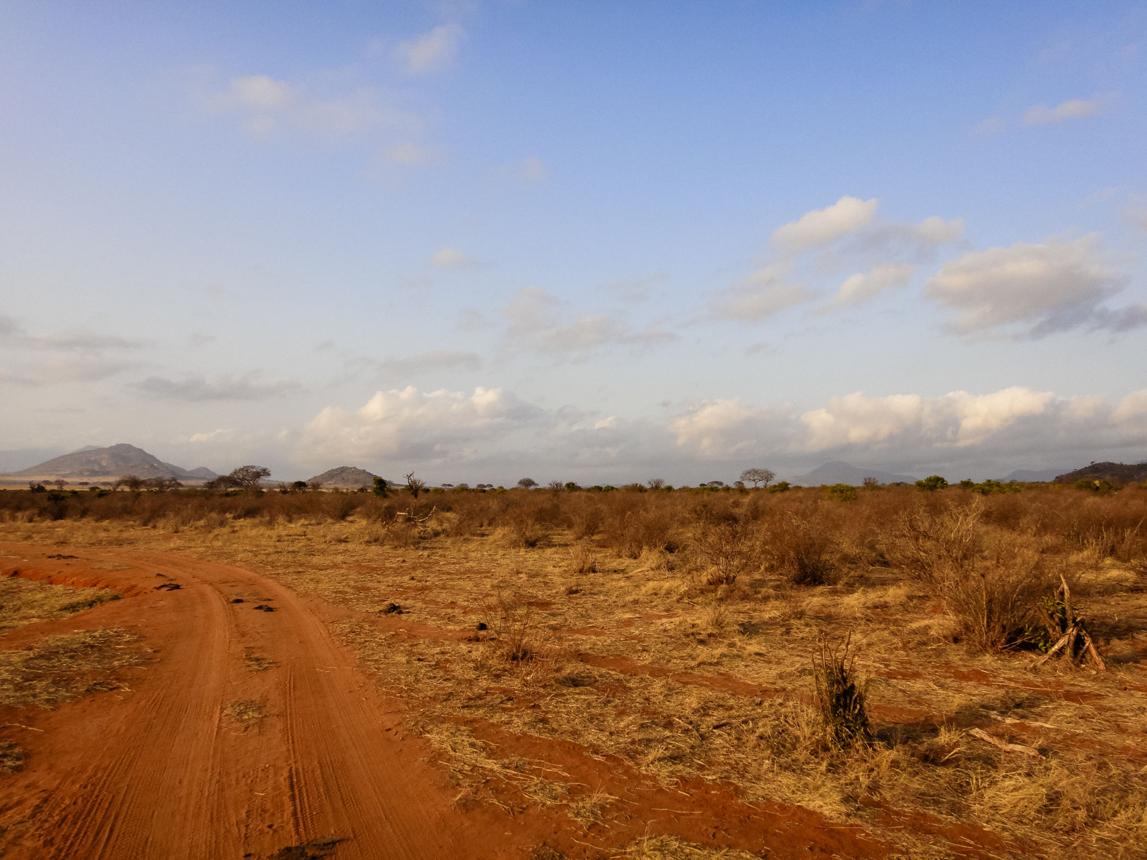 A dirt track crosses open grassland in a remote area of northern Kenya.